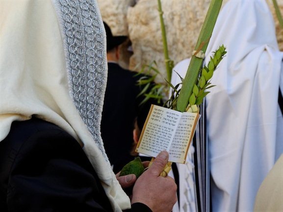 http://www.waynestiles.com/wp-content/gallery/siloam-sukkot/man-praying-with-four-species-during-sukkot-at-western-wall-cd091006066.jpg